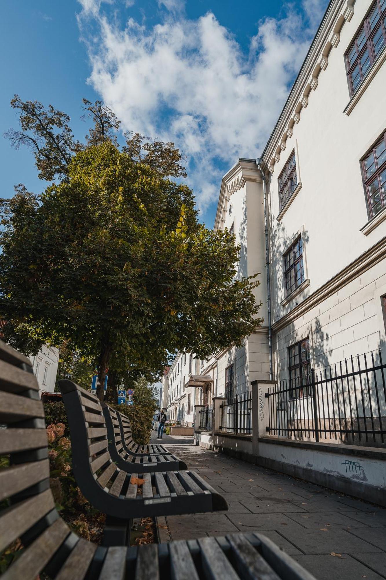 H11 Aparthotel Krasków Εξωτερικό φωτογραφία The tree in 2018